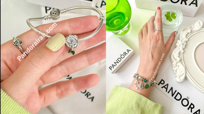 چارم گل رز پاندورا